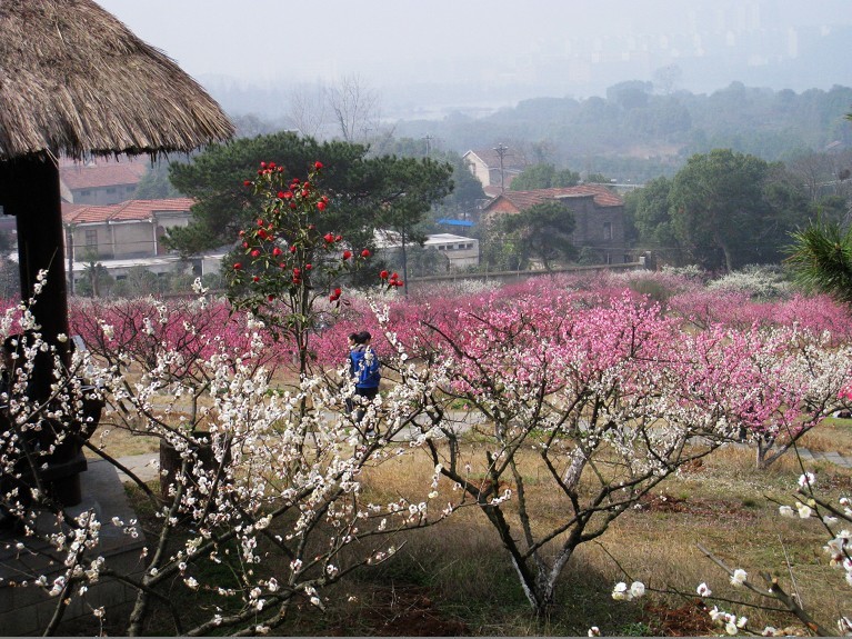 2012.3.18-33.jpg