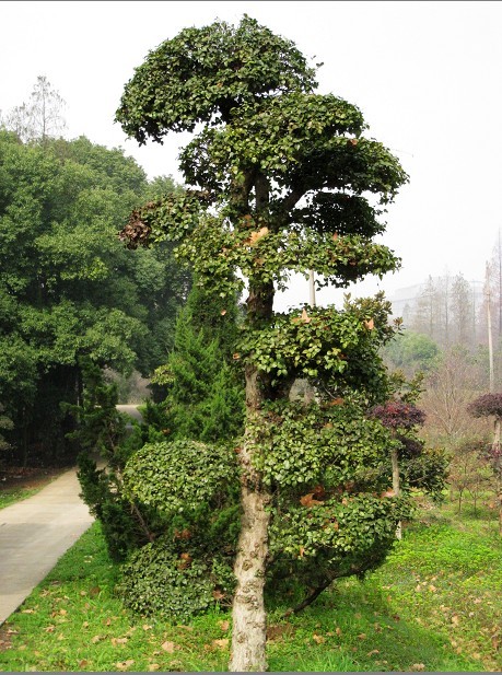 2012.3.18-38.jpg