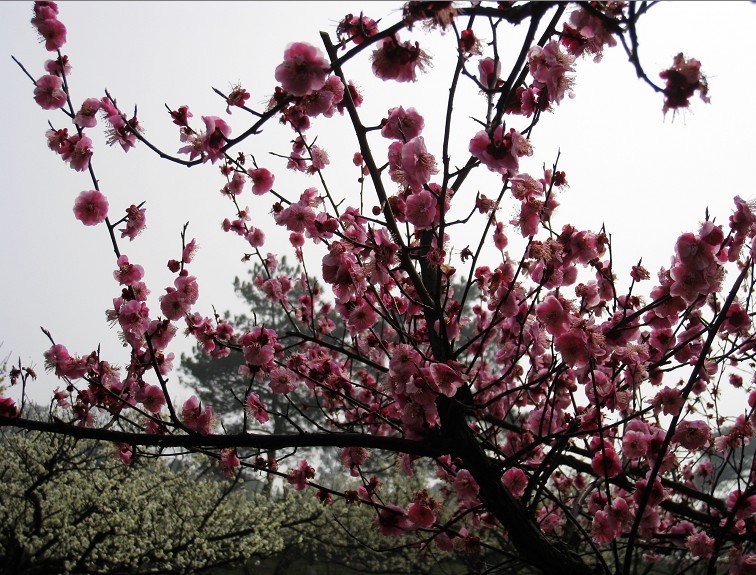 2012.3.18-39.jpg