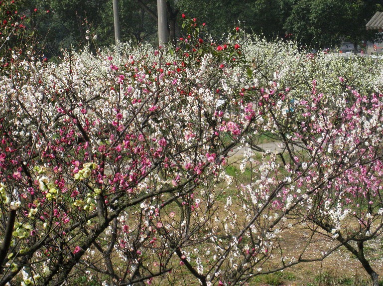 2012.3.18-34.jpg