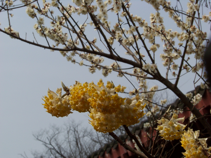 20120318j÷ (12).jpg