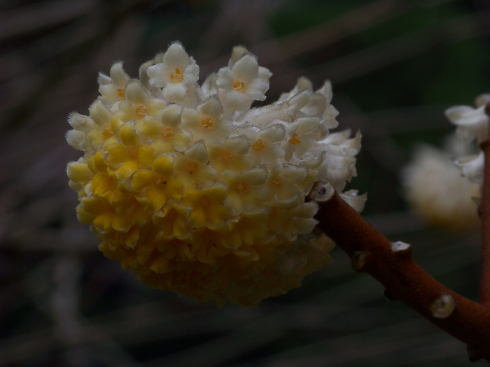 20120317aɽ԰ (28).jpg