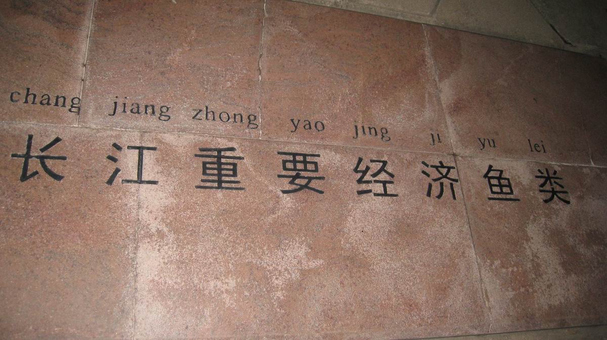 С 484 042.jpg