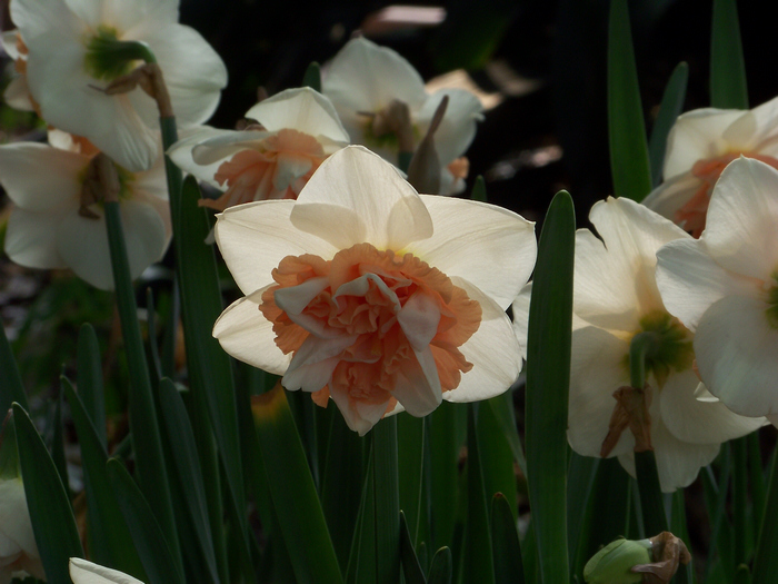 20120310p人ֲ԰ (23)ˮ.jpg