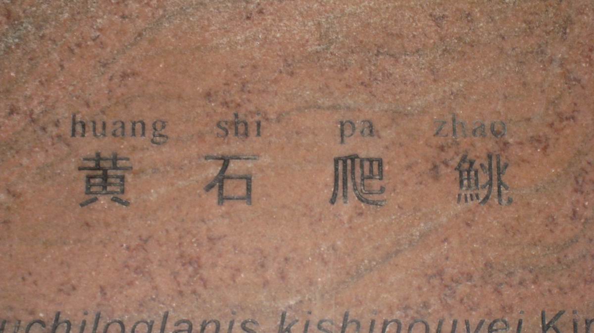 С 484 022.jpg