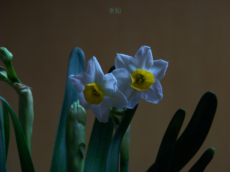 20120125bˮ (11)С.jpg