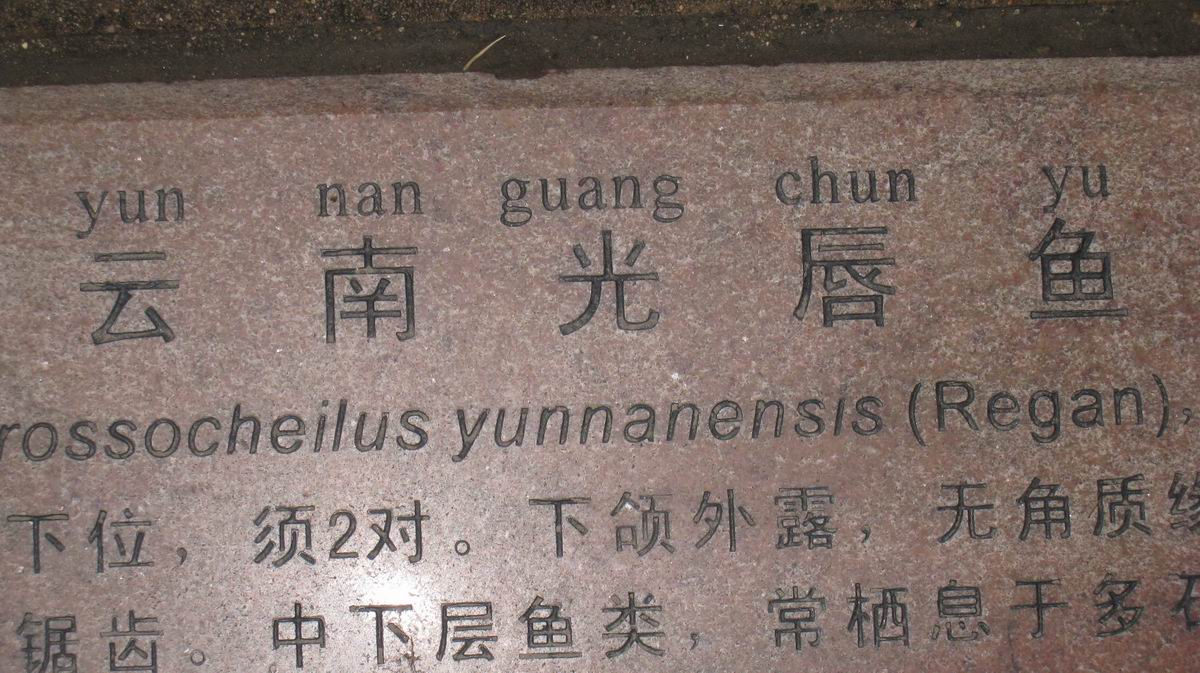 С 484 026.jpg