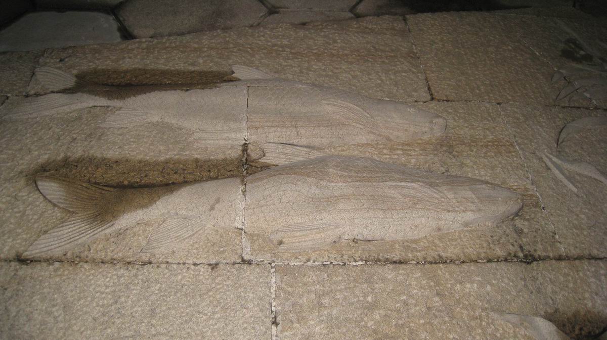 С 484 027.jpg
