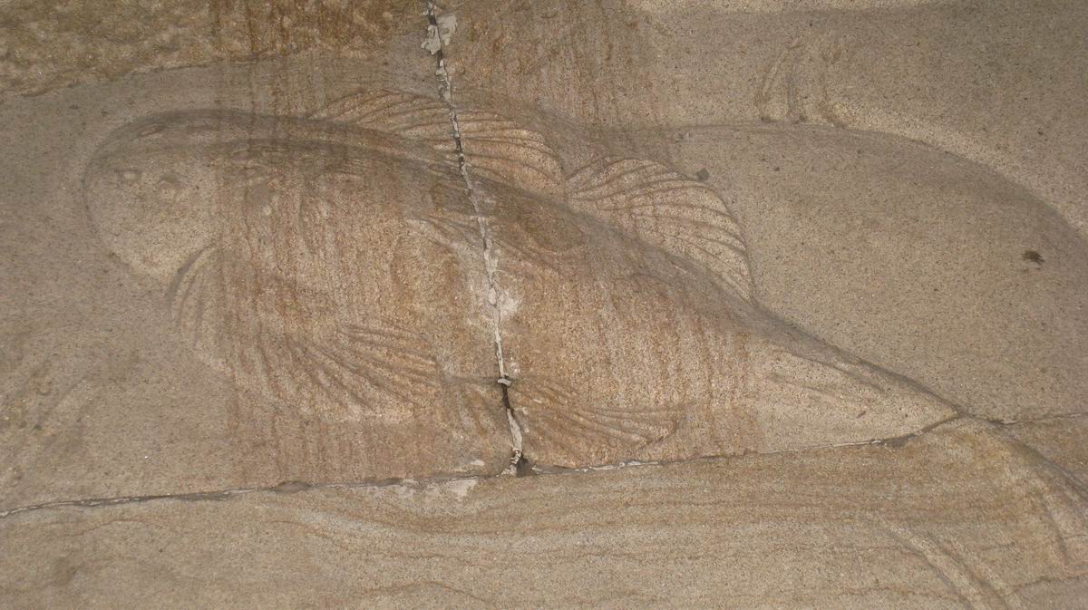 С 484 025.jpg