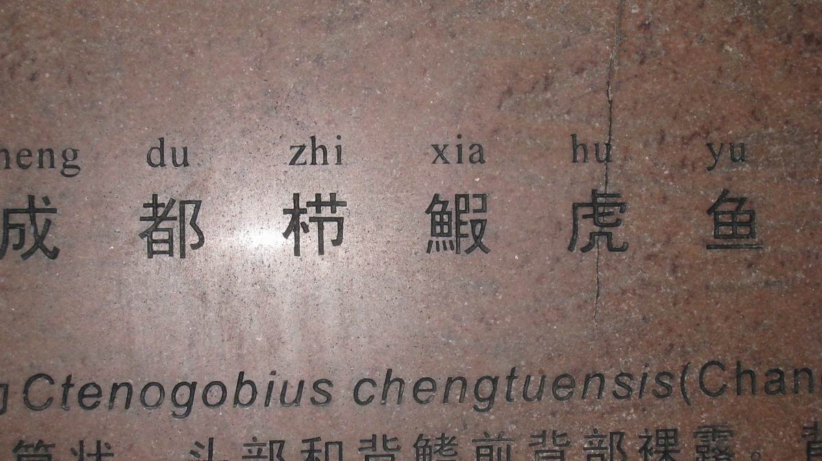 С 484 030.jpg