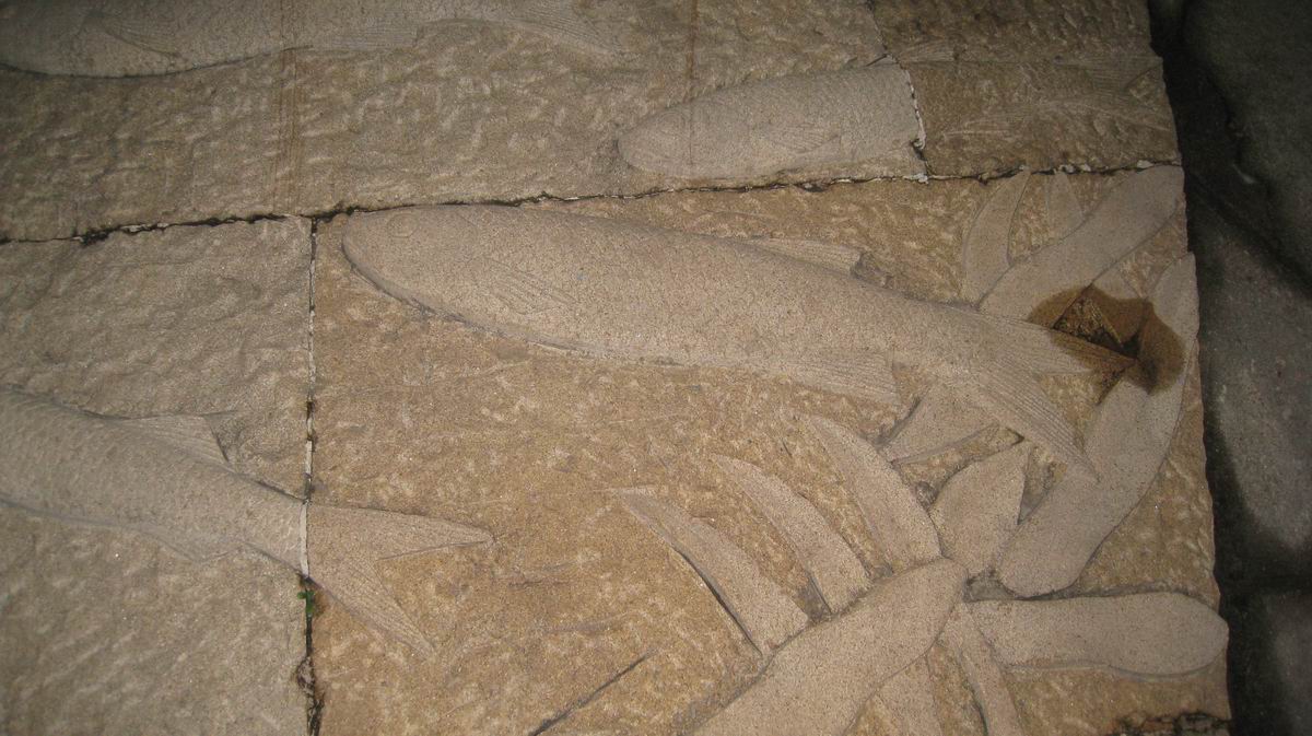 С 484 037.jpg