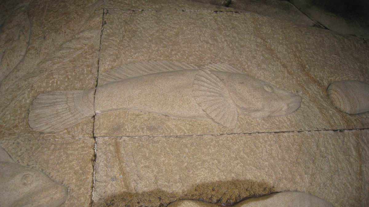 С 484 041.jpg