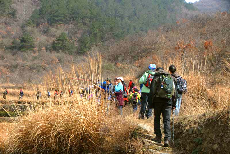 mkk_0119.jpg