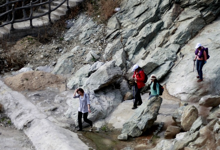 _mg_0606.jpg