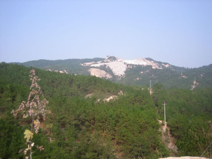 201110125 016.jpg