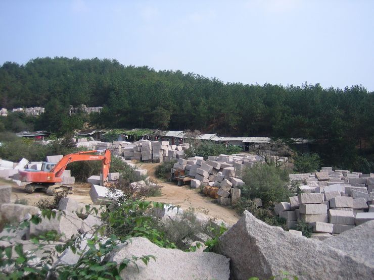 201110125 024.jpg