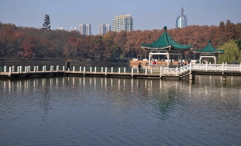dsc_2211m.jpg