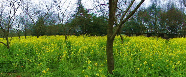 dsc05489.jpg