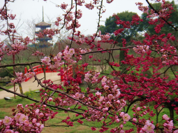 dsc05487.jpg
