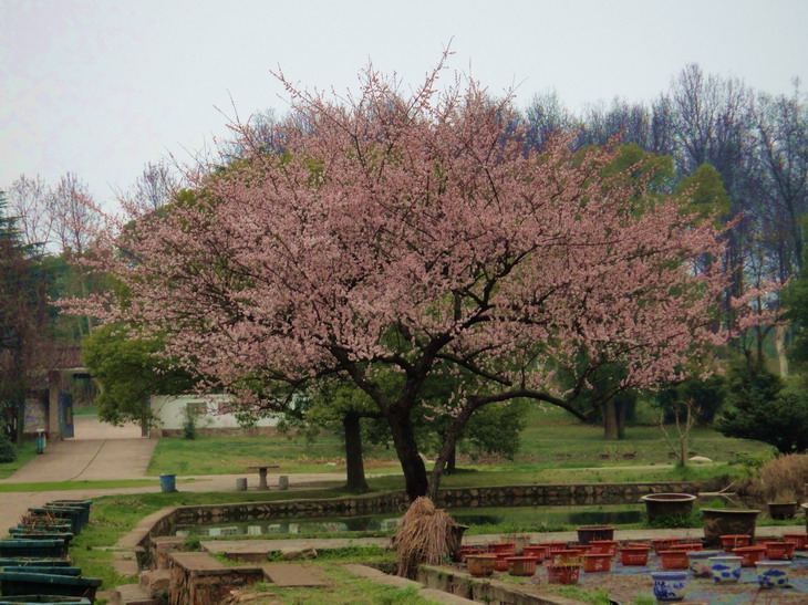 dsc05490.jpg