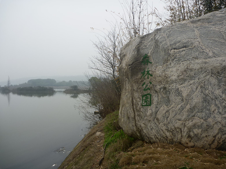 p1100796_.jpg