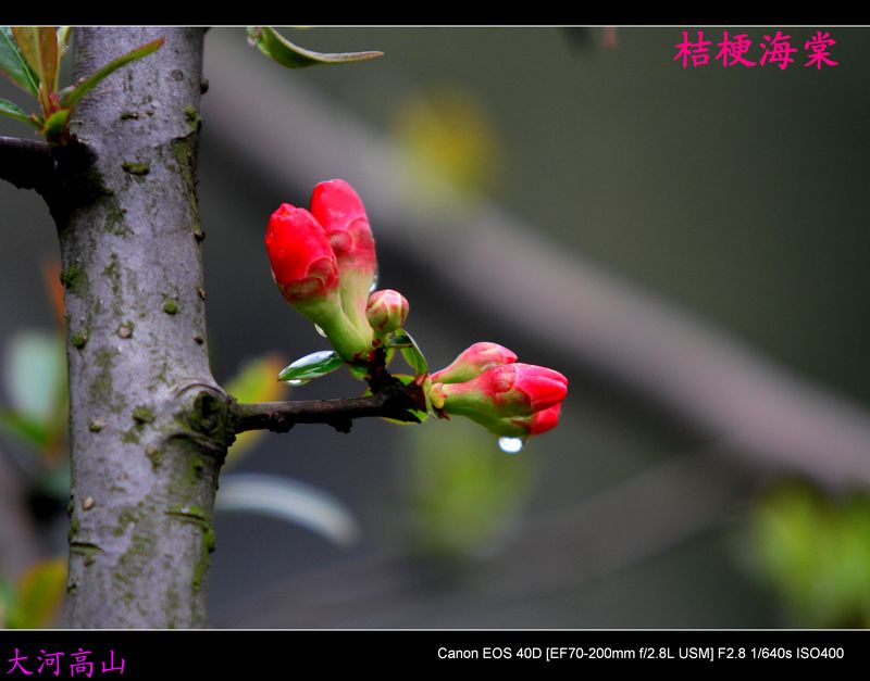 img_9553.jpg