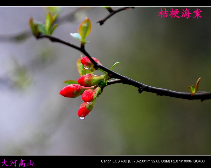 img_9569.jpg