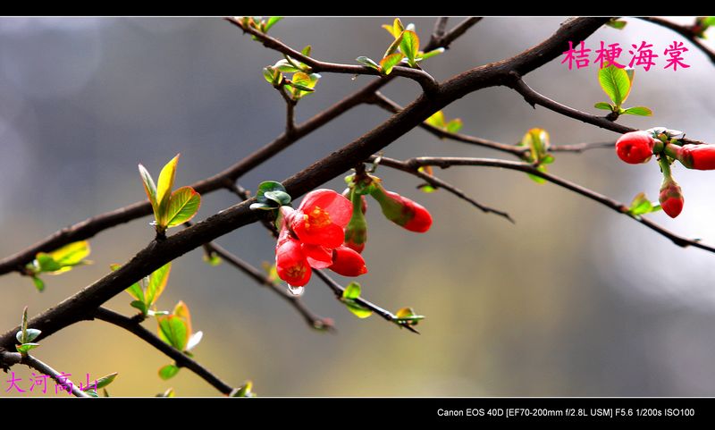 img_9611.jpg