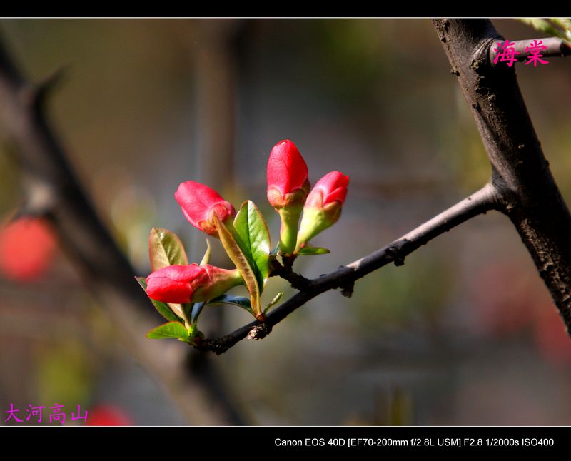 img_9950.jpg