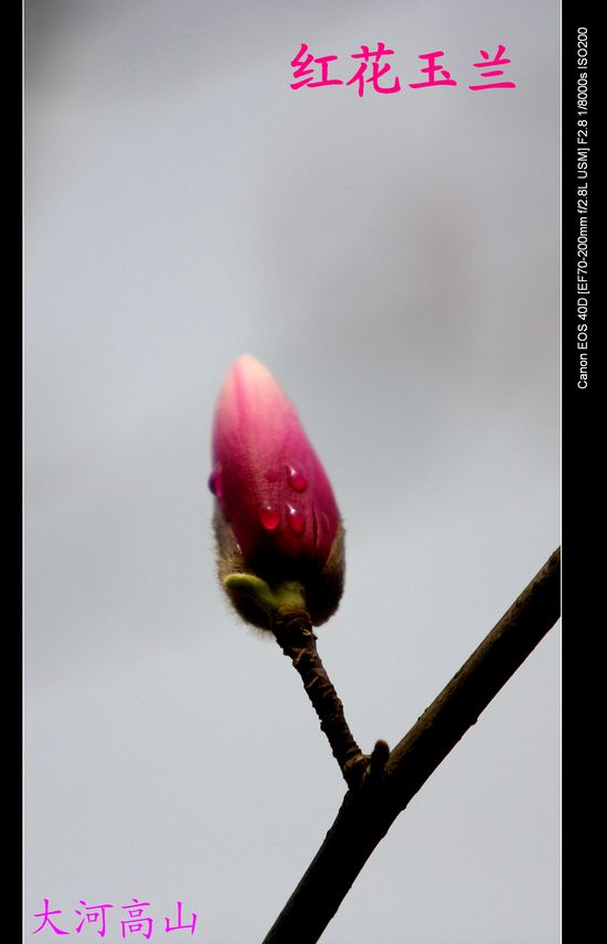 img_9642.jpg