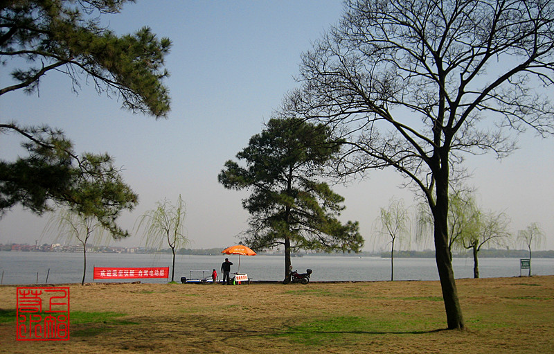 img_9556_1.jpg