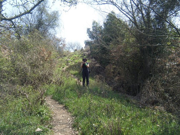dscf3415_Ŀѹ_Ŀѹ.jpg