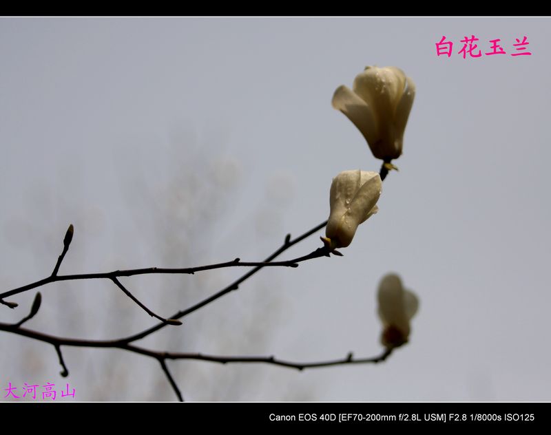 img_9679.jpg