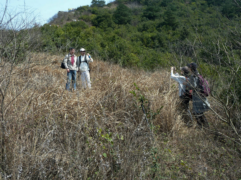 p1060530.jpg