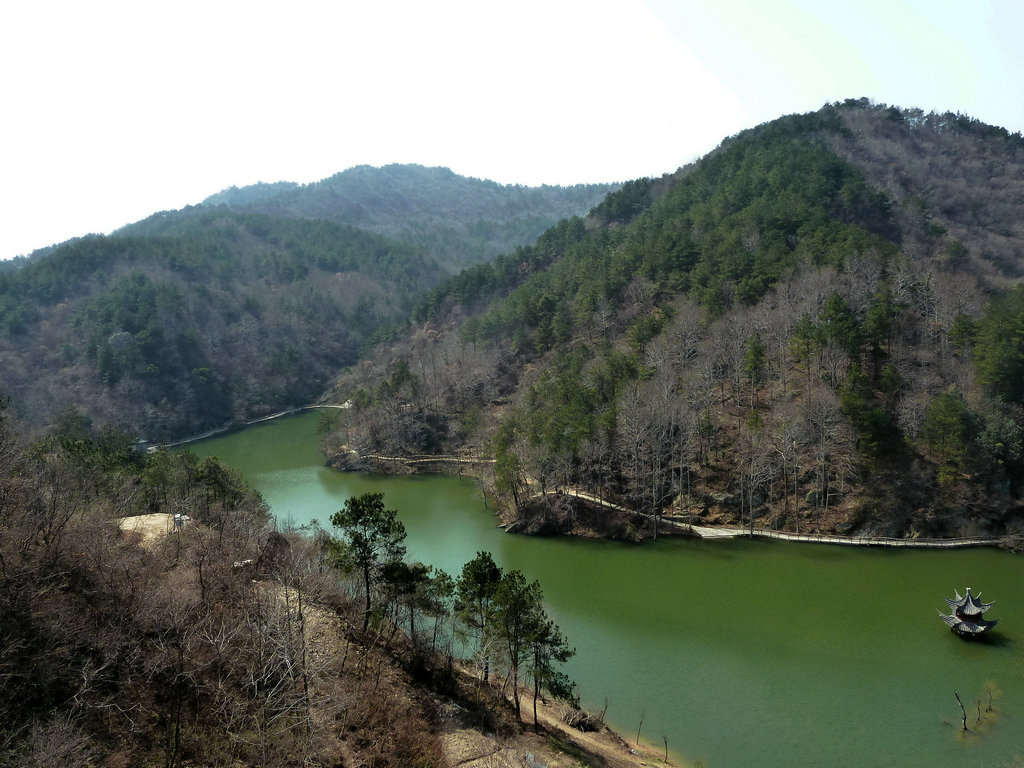 p1060539.jpg