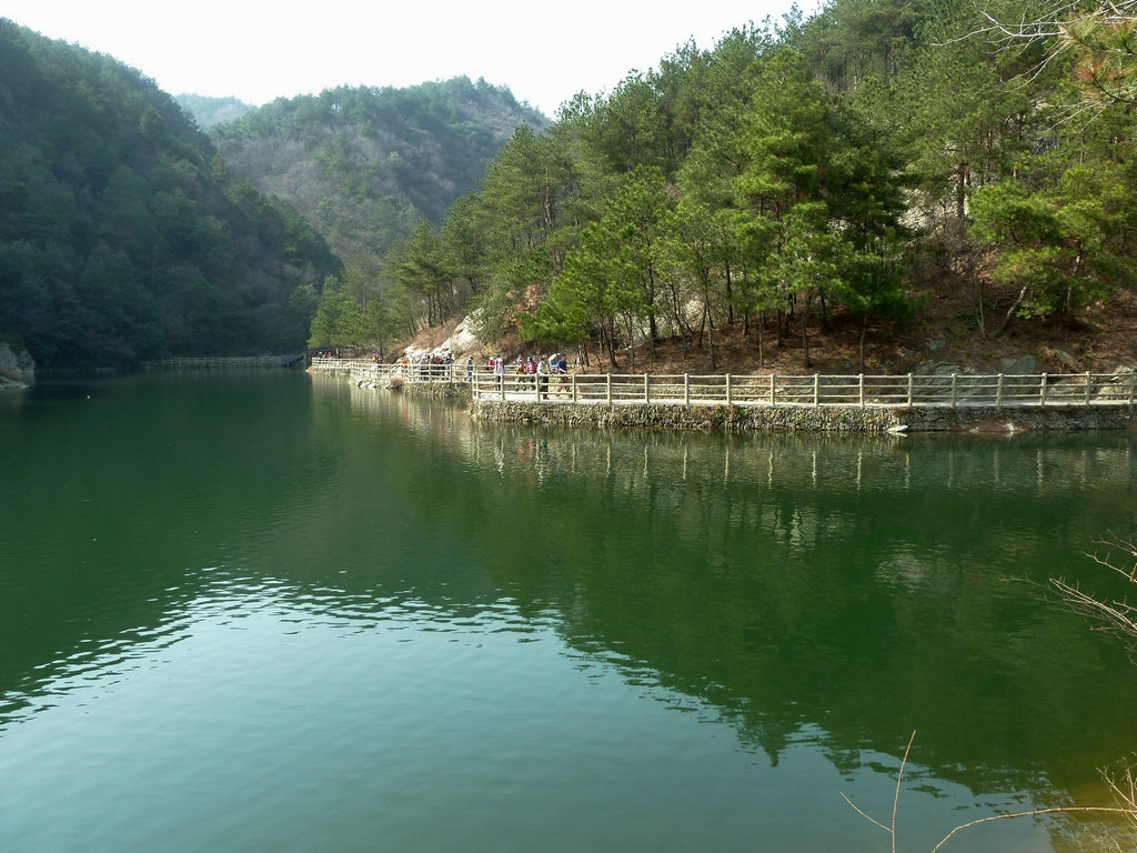 p1060584.jpg