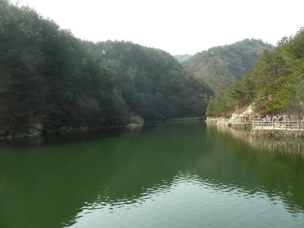 p1060586.jpg