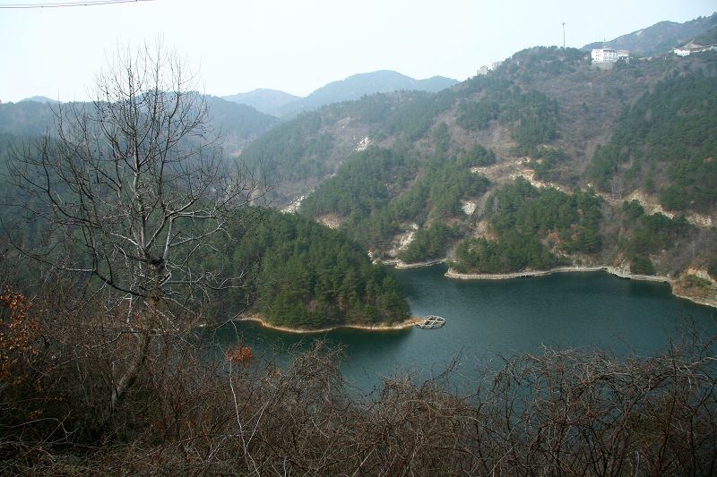 img_7797.jpg
