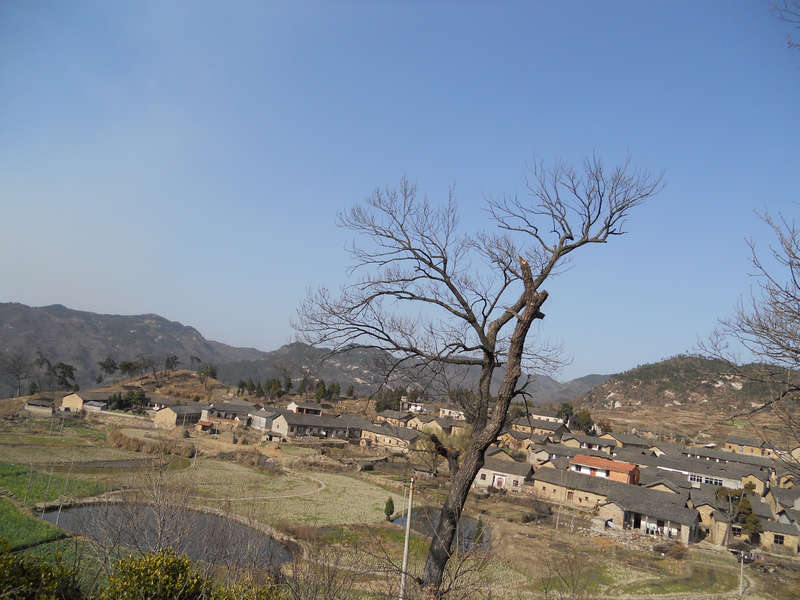 ۺ 4138.jpg