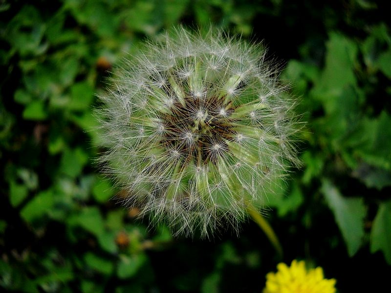ѹӢ1.jpg