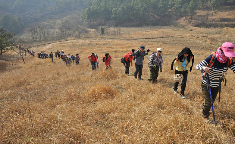 yjw_9509_.jpg