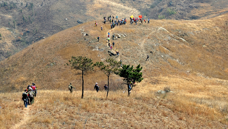 yjw_9420_.jpg