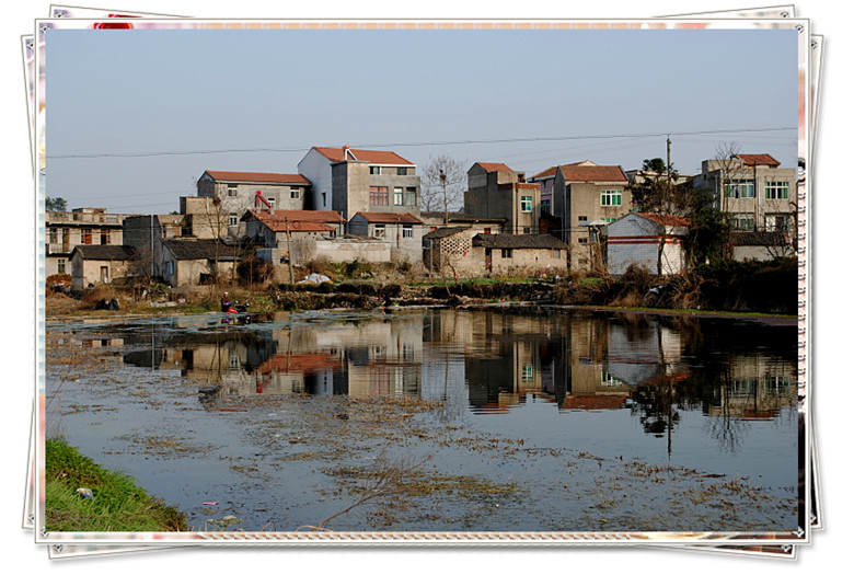 dsc_0102_.jpg