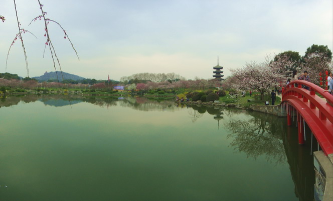 dsc05779.jpg