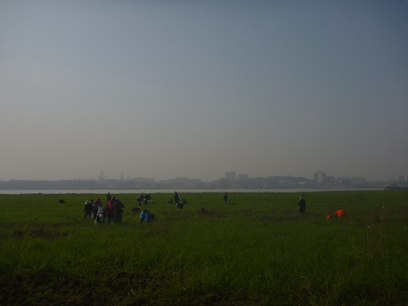 p1100825_.jpg