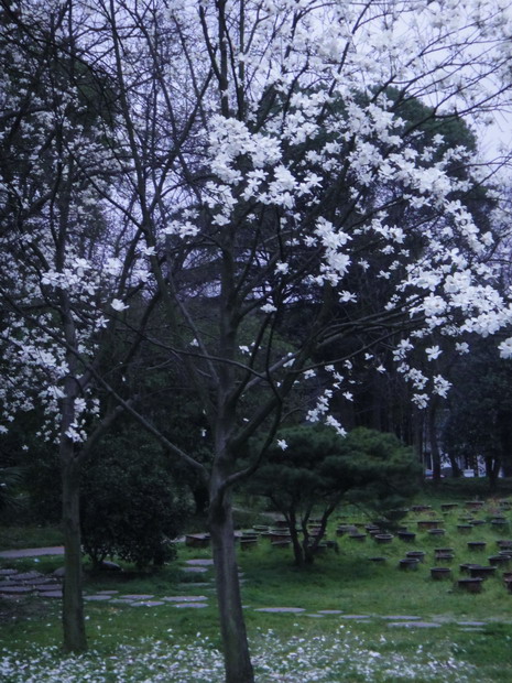 dsc05817.jpg