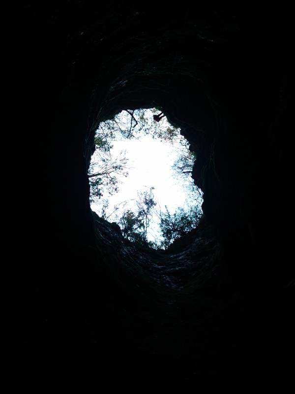 111.jpg