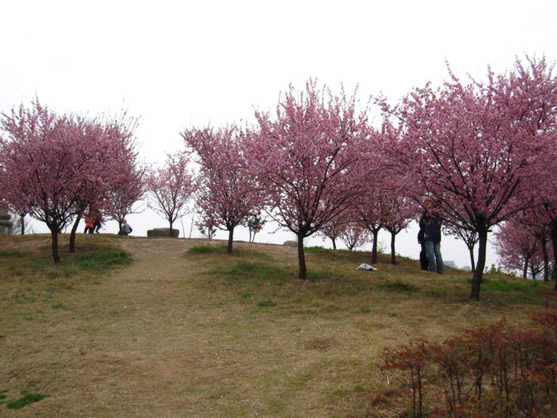  020.jpg