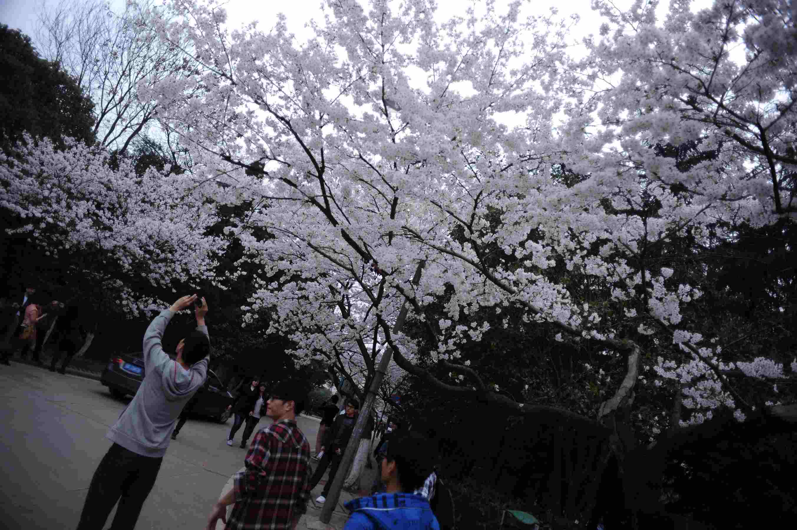 dsc_3133.jpg
