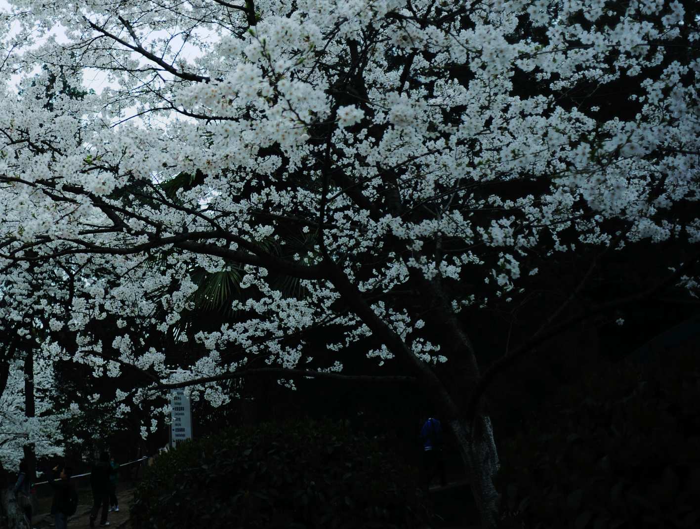 dsc_3143.jpg